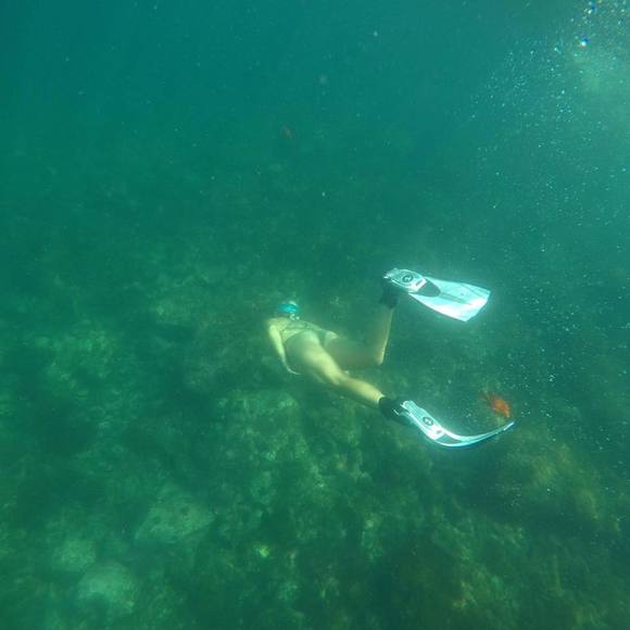 Meet your Posher, Clara - Picture 1 of 1